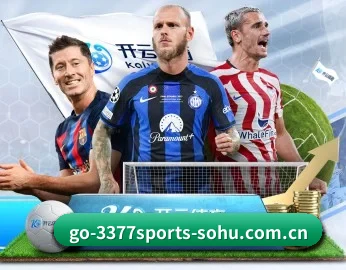 平台简介 - 体育资讯内容服务 | 3377 SPORTS