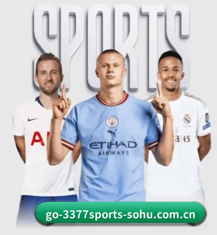 我们在做什么（3377 SPORTS）